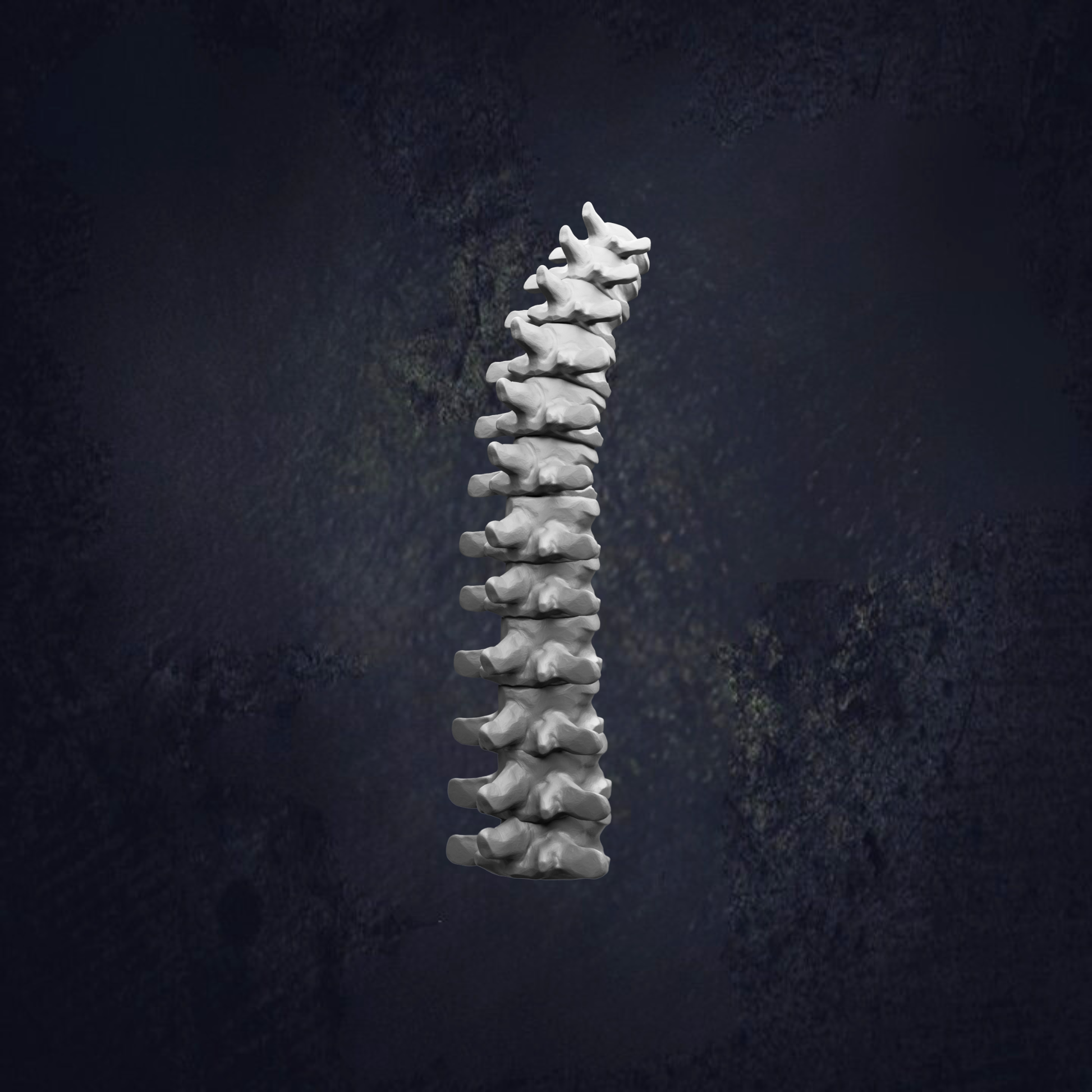 a spine, which is a long, thin, and elongated structure that extends from the neck down to the lower back.