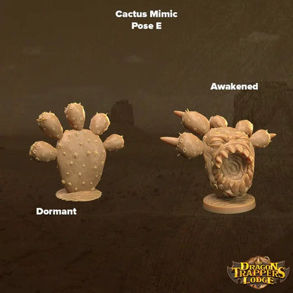 Cacti Mimics - The Print Tavern