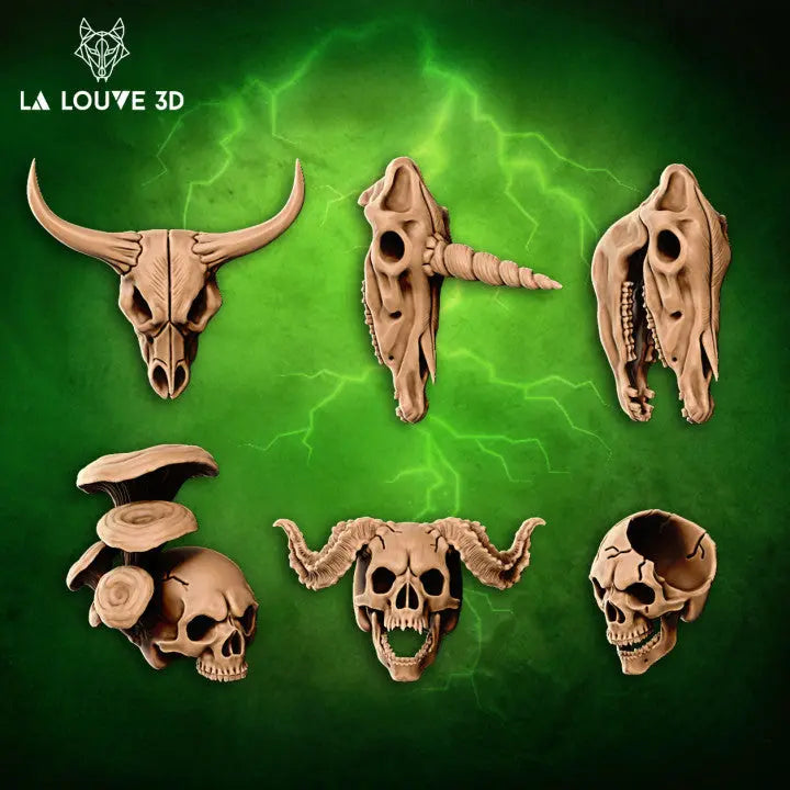 An assortment of six intricately designed skull miniatures, including animal, human, and hybrid skulls with features like horns and mushrooms. Perfect for tabletop scatter terrain or artistic decoration.
