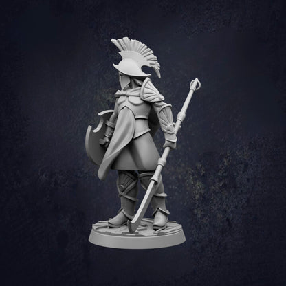 A 3D model of a warrior figure in a helmet and armor, holding a shield and sword, standing against a dark background.