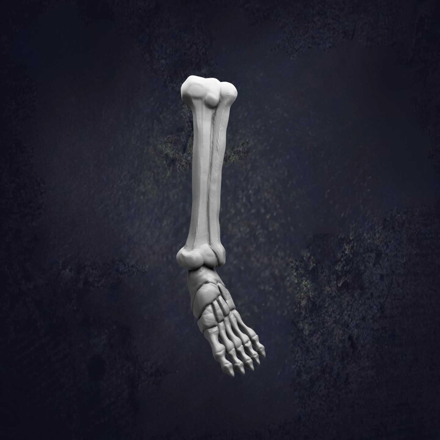 A 3D rendering of a human leg and foot against a dark background.