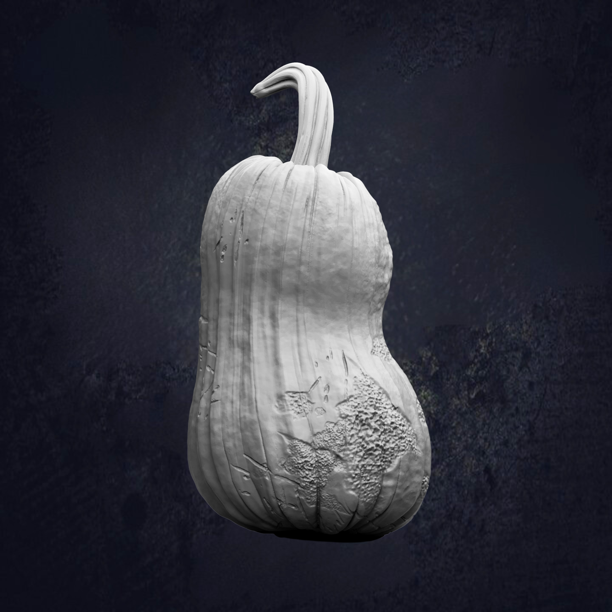 A white, textured pumpkin with a curved stem is shown against a dark background.