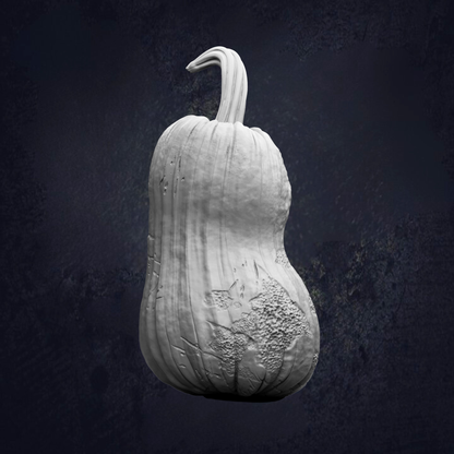 A white, textured pumpkin with a curved stem is shown against a dark background.