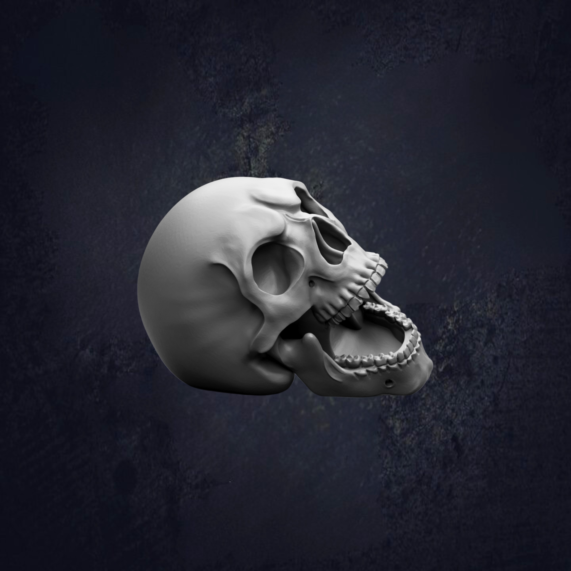 A close-up view of a white skull with its mouth open, set against a dark background.