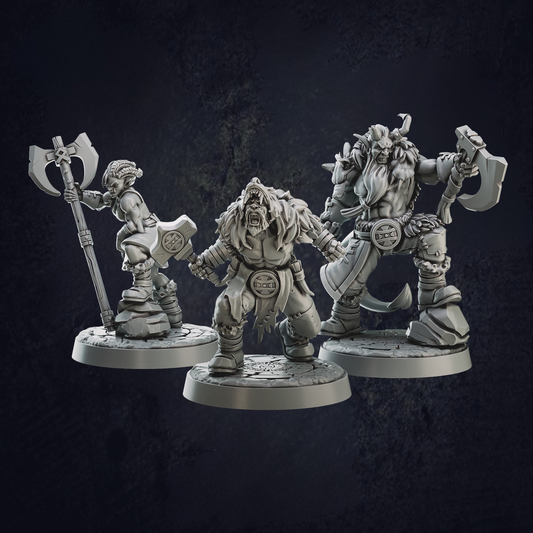 Barbarian Berserk Bandits