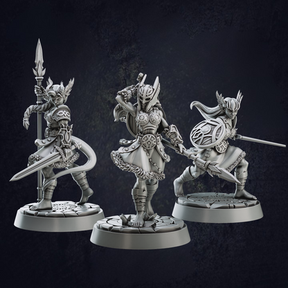 Female Valkyrie Barbarians