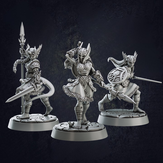 Female Valkyrie Barbarians