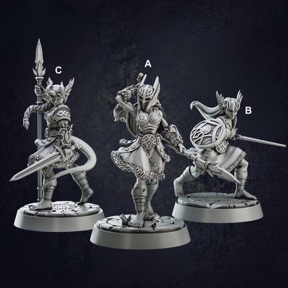 Female Valkyrie Barbarians