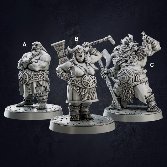Heavy Vikings - The Print Tavern D&D RPG Miniature