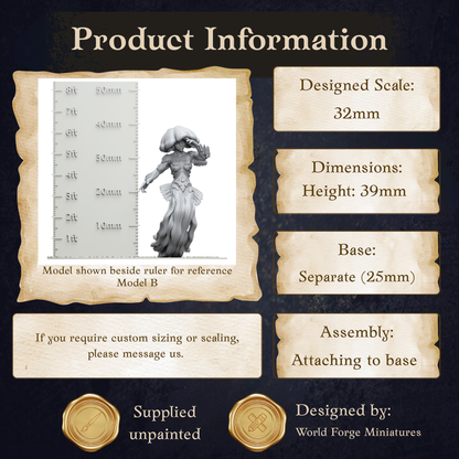 The image is a product information display featuring a model shown beside a ruler for reference. The model is described as Model B, with dimensions of 30mm in height and 25mm in width. The display includes information about the designed scale, dimensions, assembly instructions, and the designer.