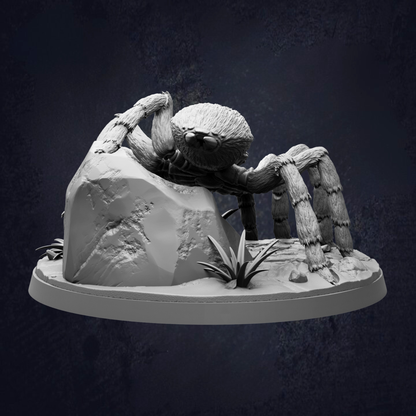 A detailed 3D model of a spider with long legs and hairy body, sitting on a rock and surrounded by small plants.