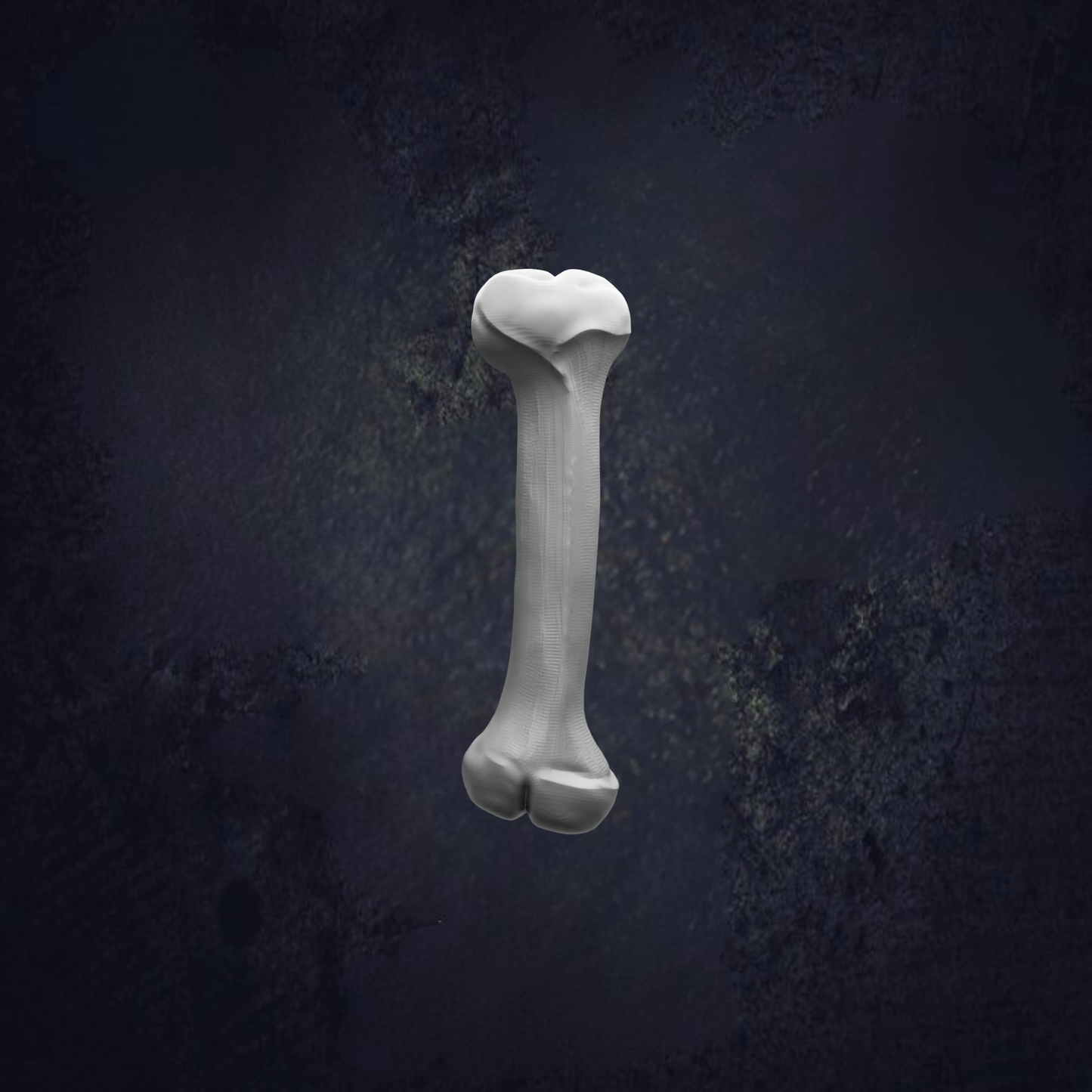 a single, white bone against a dark background.