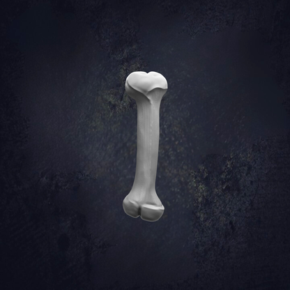 a single, white bone against a dark background.