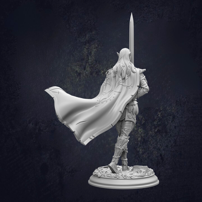 Alysion Elf Duelist Fighter