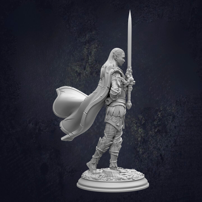 Alysion Elf Duelist Fighter