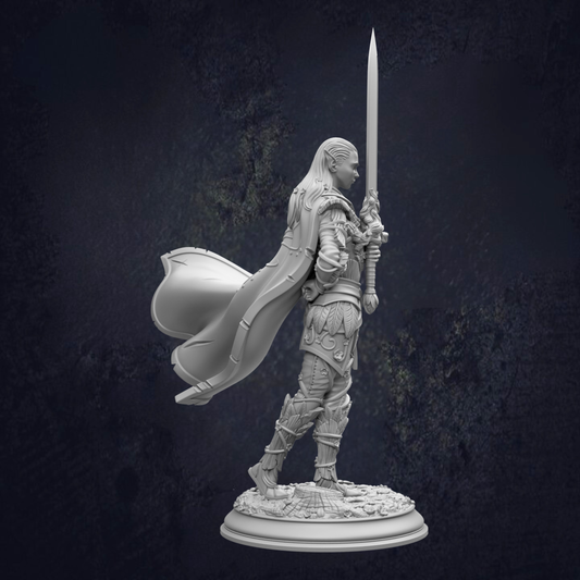 Alysion Elf Duelist Fighter