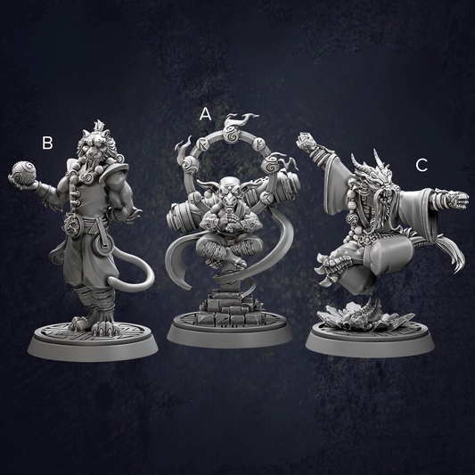 A group of Zen Master Monks displaying different stances, styles and races including Tiger, Goblin and Dragonborn