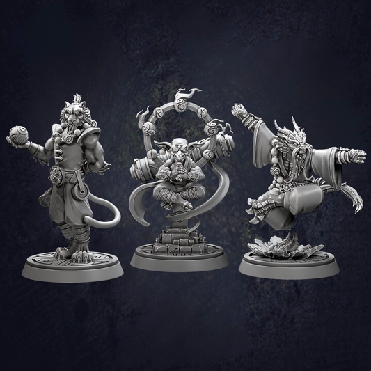 A group of Zen Master Monks displaying different stances, styles and races including Tiger, Goblin and Dragonborn