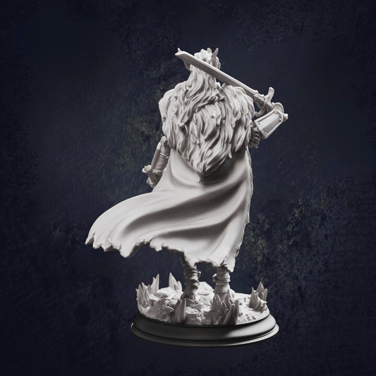 Back view of a female fighter holding two swords, one over the shoulder and one by her side. Looks like a Valkyrie, with fur pelt over her shoulders and flowing cloak 