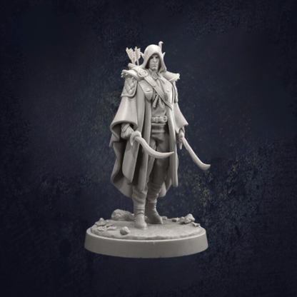 Elven rogue, in long caped coat with dual scimitar, with bow on his back and quiver. Highborn elf hooded figure.