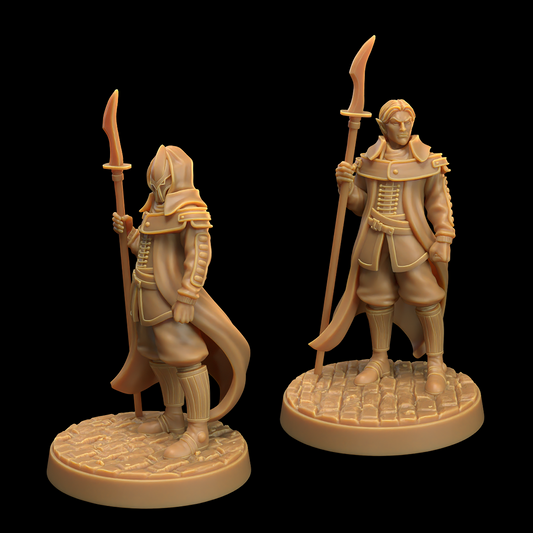 Male Astral Elf Guard