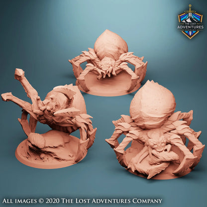 Giant Spiders - The Print Tavern