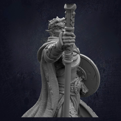 Drow Cleric - Glyndos the Moon Wanderer