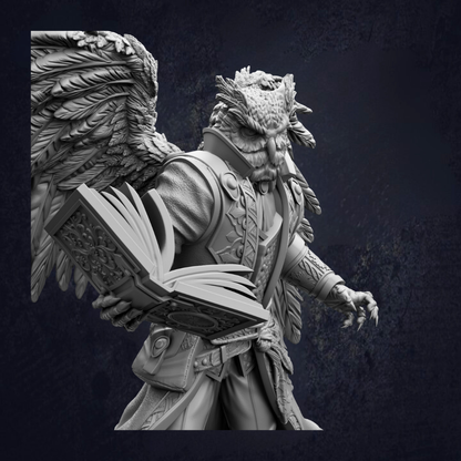 Owlfolk Sorcerer - Hoover Brightfeather RPG Miniature