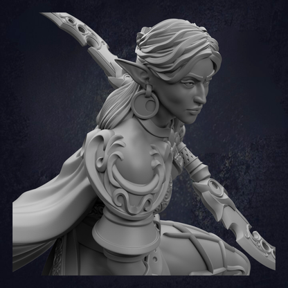 Female Drow Rogue  - Ilyara Deri Assassin