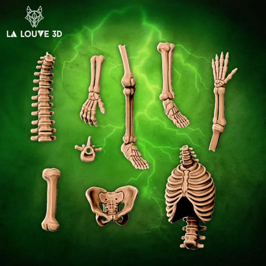 A range of skeleton parts perfect for scatter terrain, basing and dioramas. 
Legs, arms, spin, pelvis and rib cages.