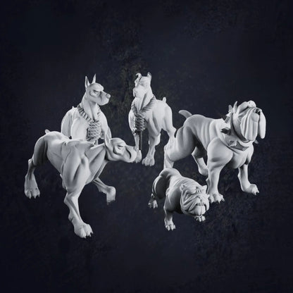 Pack of Dogs - The Print Tavern