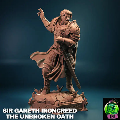 A render of a detailed 3D-printed miniature of a human male paladin, designed by TPK Lab. The paladin is depicted in a dynamic pose, clad in ornate armor with intricate designs, including shoulder plates and a flowing cape. The figure holds a sword with both hands, one gripping the hilt and the other raised dramatically, suggesting action or readiness for battle. The base features rocky terrain with small plants, adding realism and depth to the scene.