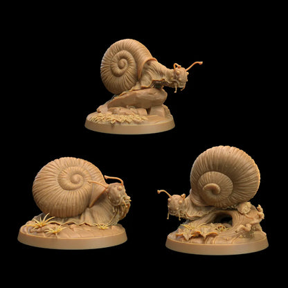 A collection of small, intricately detailed snail miniatures. These snails are designed with smooth, spiral shells and textured bodies that give them a realistic, organic look. The set features multiple snails in various poses, with some crawling along surfaces while others appear stationary. Their compact size makes them ideal for encounters in nature-based or magical settings, adding a whimsical or eerie element to a tabletop RPG campaign.