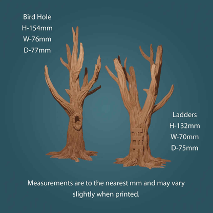 Tree Trunks