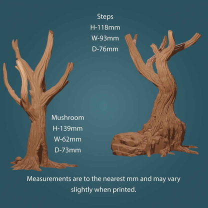 Tree Trunks