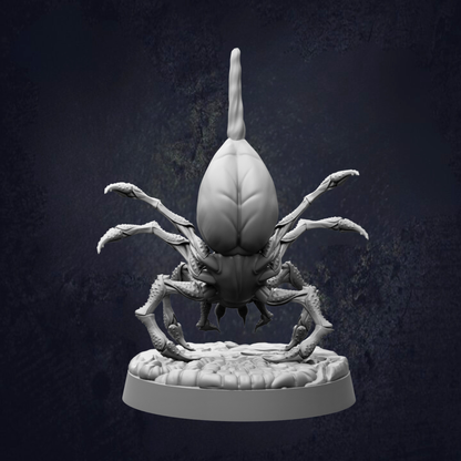 A detailed 3D model of a large, hairy spider with multiple legs and a long, pointed tail, set against a dark background.