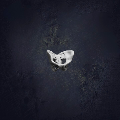 a white skull bone against a dark background.