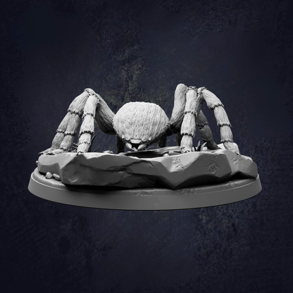A detailed 3D model of a large spider with hairy legs and a round body, sitting on a rock formation against a dark background.