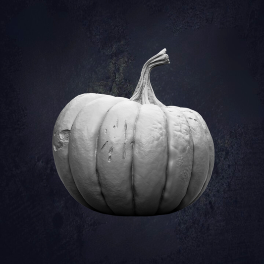A large, white pumpkin with a stem and a few small holes is the main focus of the image.