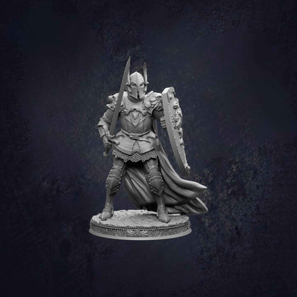 Male Human Paladin Sergeant Silus