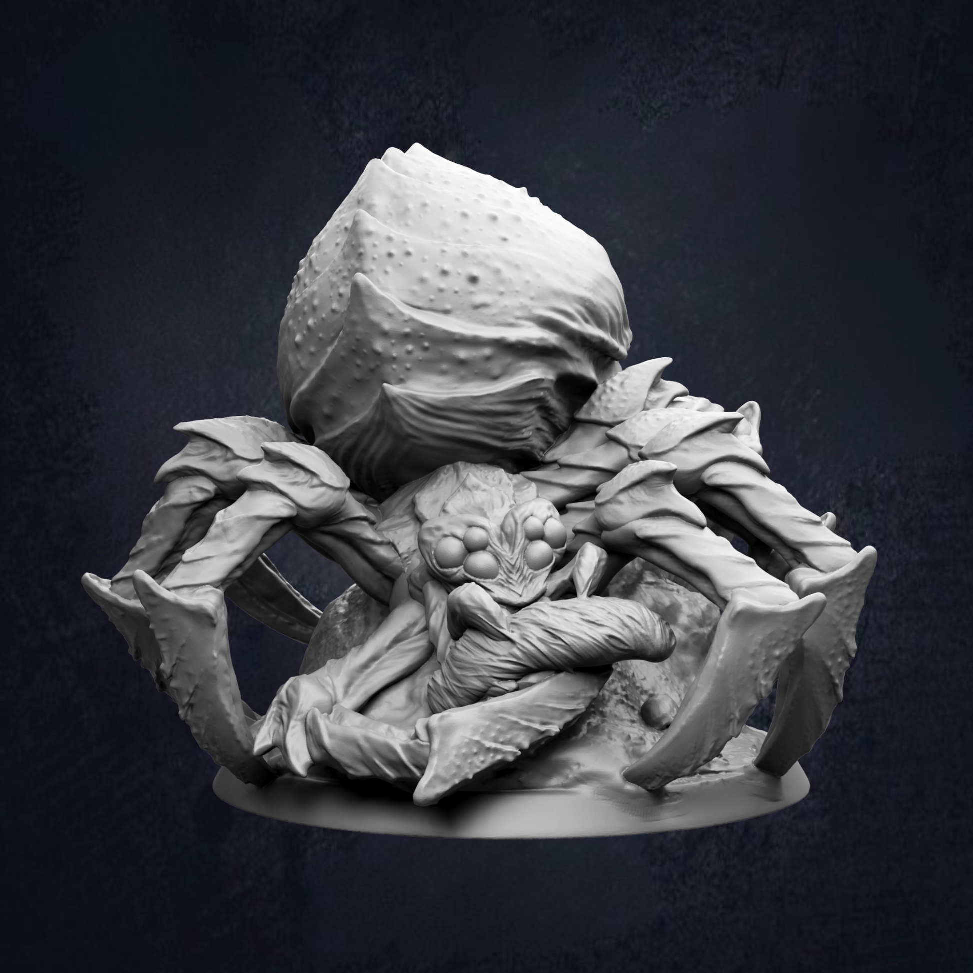 A detailed 3D model of a large, hairy spider with multiple legs and a prominent head, set against a dark background.