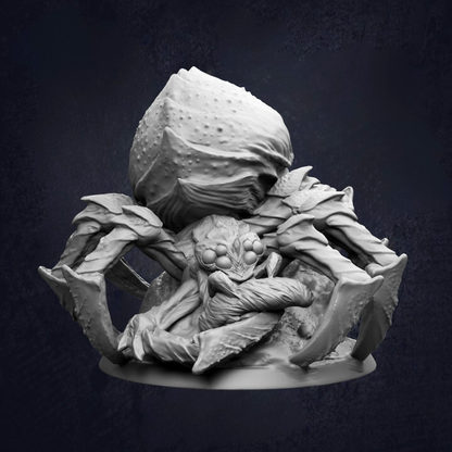 A detailed 3D model of a large, hairy spider with multiple legs and a prominent head, set against a dark background.
