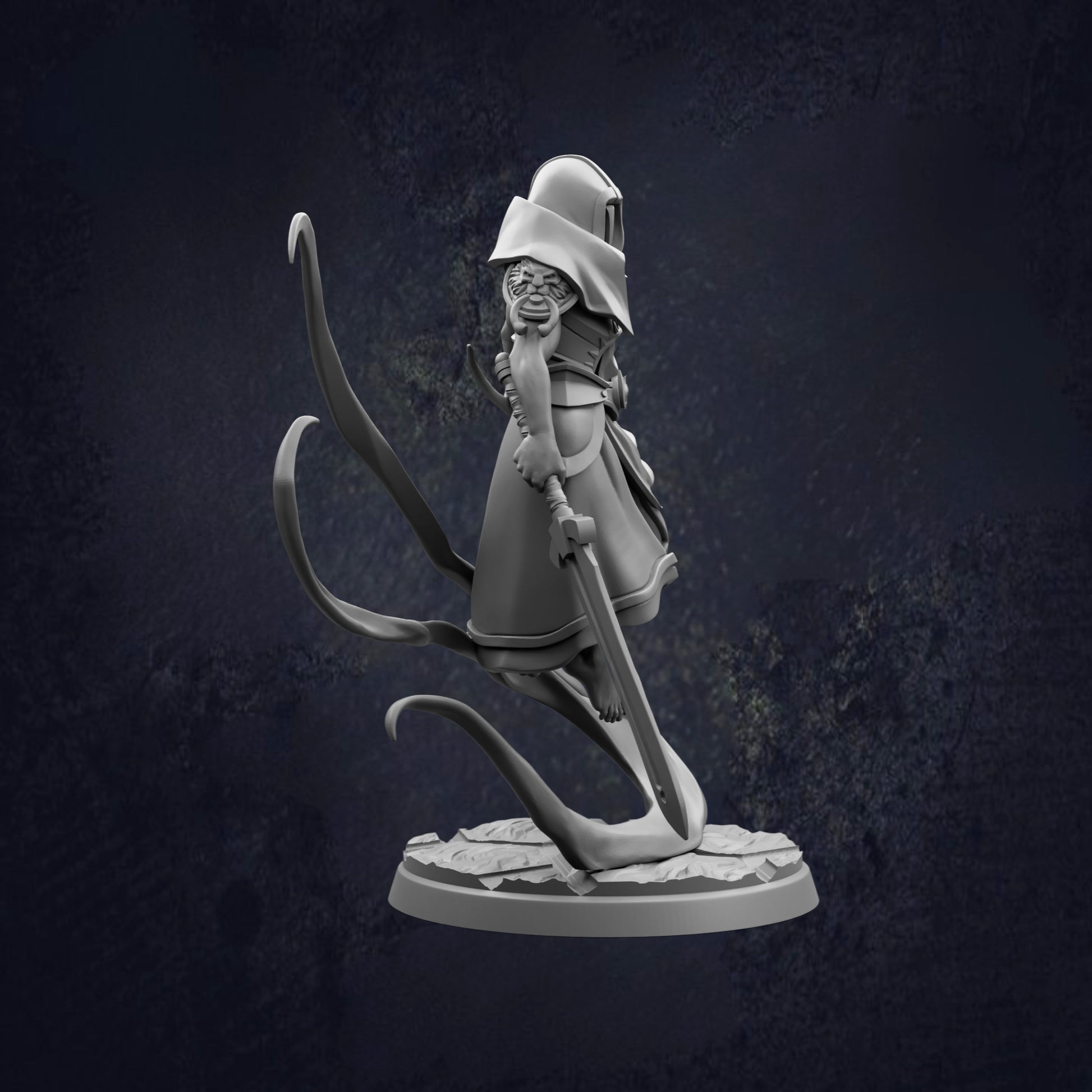A 3D model of a character with a pointed hat and a long, flowing cape, holding a sword and standing on a rock.