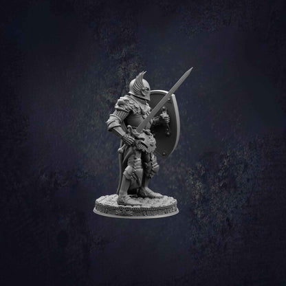 Male Human Paladin Sergeant Silus