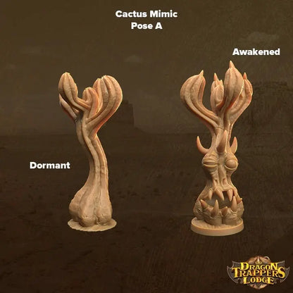 Cacti Mimics - The Print Tavern