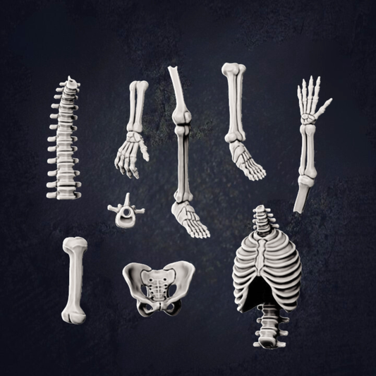 various skeletal structures, including bones and joints, arranged in a grid-like pattern against a dark background.
