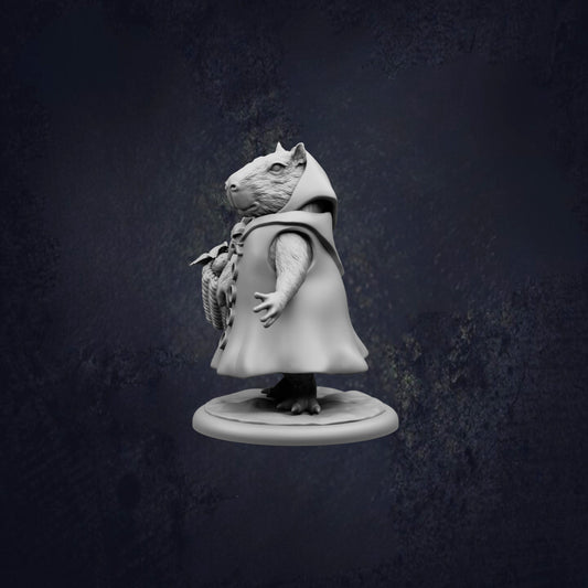A 3D model of a small animal, possibly a rodent or a similar creature, wearing a hooded garment and holding a small object in its hand.