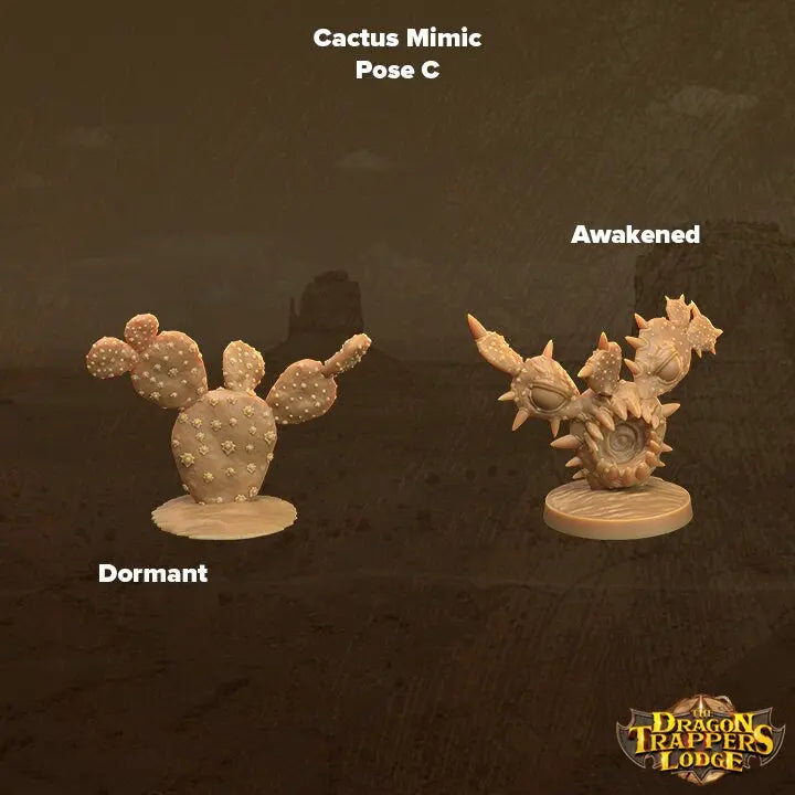 Cacti Mimics - The Print Tavern