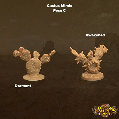 Cacti Mimics - The Print Tavern