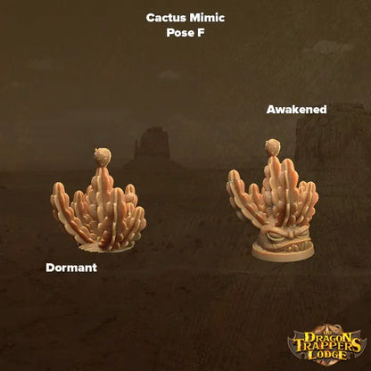 Cacti Mimics - The Print Tavern